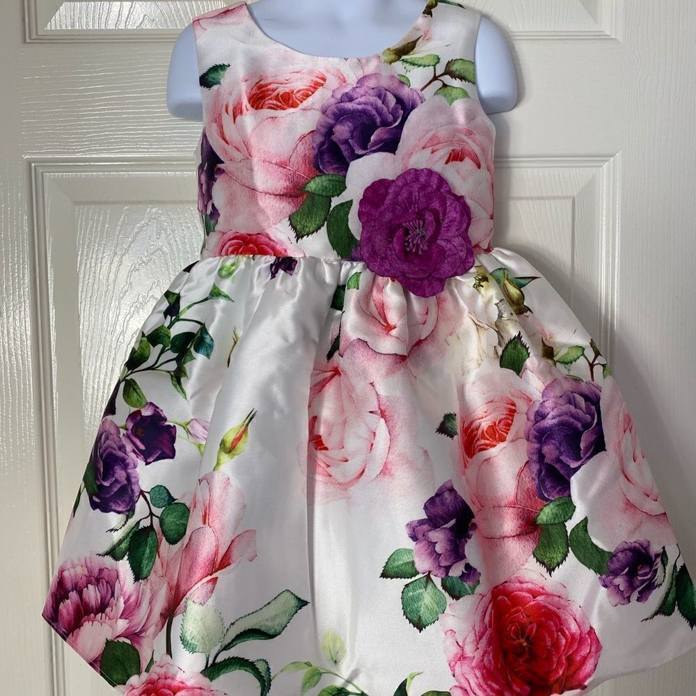 Pretty As A Picture Dress SIZE 5
